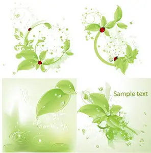 Vector water drops background of green leaves