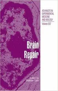 Brain Repair (Repost)