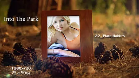 Into The Park V1 - Project for After Effects (VideoHive)