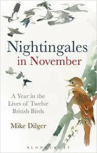 Nightingales in November