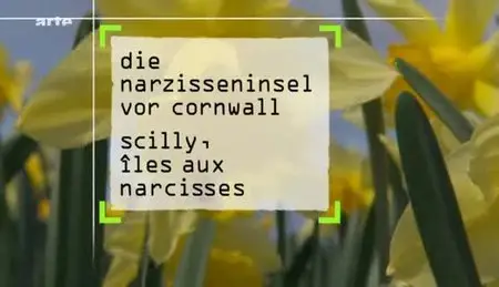 (Arte) Scilly, îles aux narcisses (2010)