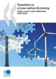 Transition to a Low-carbon Economy: Public Goals and Corporate Practices 