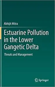 Estuarine Pollution in the Lower Gangetic Delta: Threats and Management