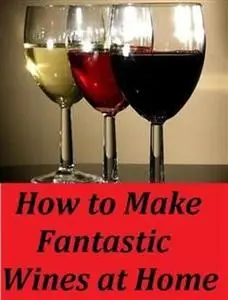 «99 Cent eBook How to Make Fantastic Wines at Home» by 99 Cent eBooks