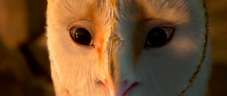 Legend of the Guardians: The Owls of Ga'Hoole (2010)