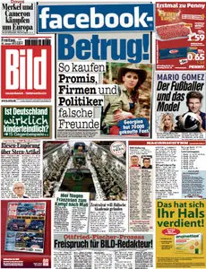 Bild Zeitung vom 25 Januar2013