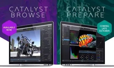 Sony Catalyst Browse / Prepare Suite 2023.1