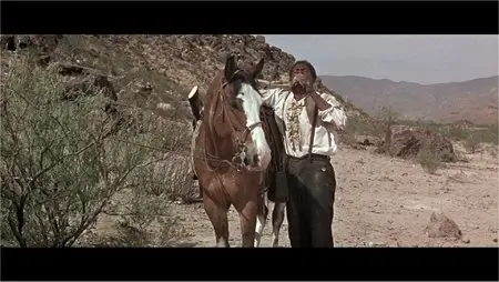 The Scalphunters (1968) [Full BluRay]