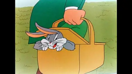 Looney Tunes: Platinum Collection. Volume 1. Part1 1 (1936-2011)