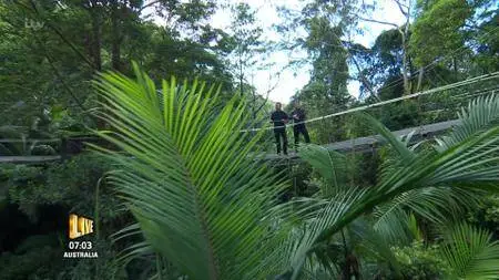 I'm a Celebrity Get Me Out of Here! S17E22