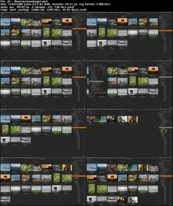 Capture One Pro – vom Einsteiger zum Experten