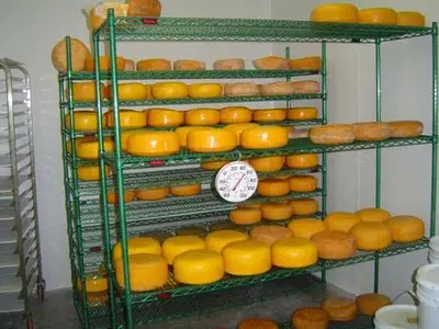Fabrication of the cheese