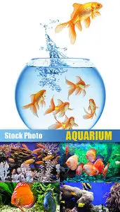 Stock Photo - Aquarium