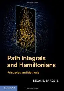 Path Integrals and Hamiltonians: Principles and Methods