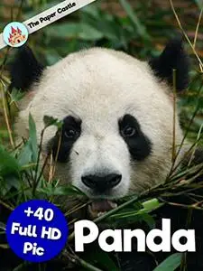 Panda Picture Book: Plus Than 40 Full HD Photo of Pandas