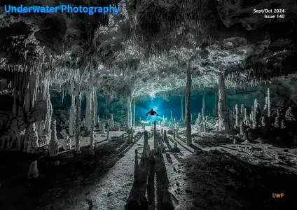 Underwater Photography - September-October 2024