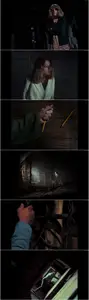 The Evil Dead (1981)