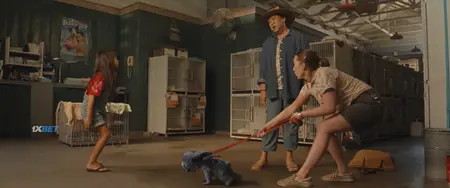 Lilo & Stitch (2025)