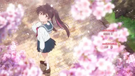 Mikadono Sanshimai wa Angai Choroi - 10