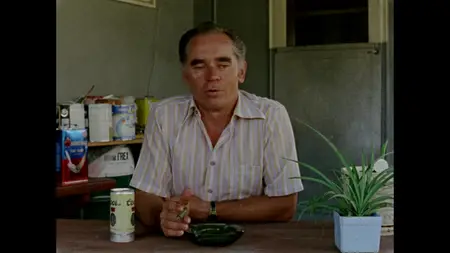 Gates of Heaven (1978)