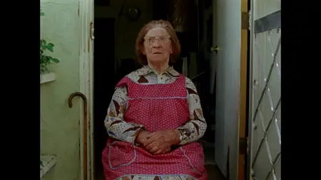 Gates of Heaven (1978)
