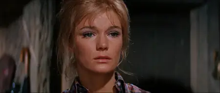 Dark of the Sun (1968) + Commentary