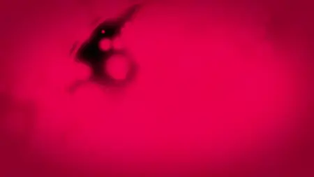 Shinobu Mustard NCOP (BD 1080p