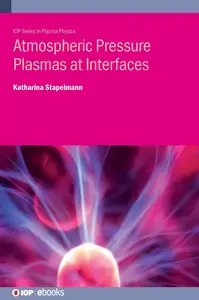 Atmospheric Pressure Plasmas at Interfaces