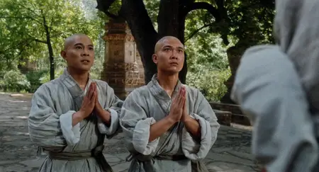 Tai gik Cheung Sam Fung / Tai Chi Master (1993)