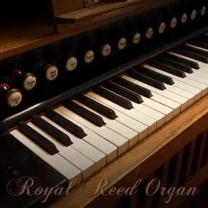 Precisionsound Royal Reed Organ KONTAKT