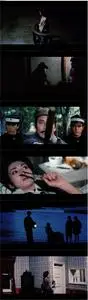 Lady Snowblood 2: Love Song of Vengeance (1974) [The Criterion Collection]