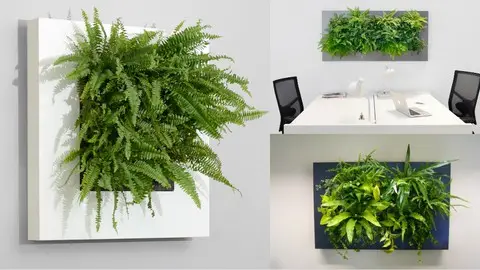 Khetibuddy'S Fern Frame Workshop (English)