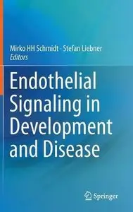 Endothelial Signaling in Development and Disease 