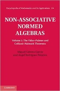 Non-Associative Normed Algebras: Volume 1, The Vidav-Palmer and Gelfand-Naimark Theorems