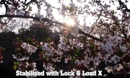 Lock And Load X 2.0 (96) for FCPX / PremierePro / AE 