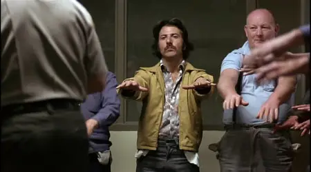 Straight Time (1978)