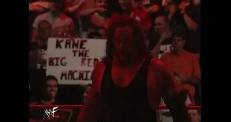 WWE: Brothers of Destruction (2014)
