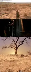 The Dead (2010)