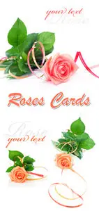Stock Photo - Roses Cards
