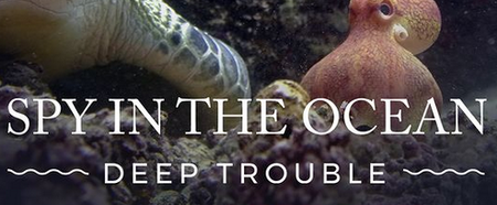 PBS Nature - Spy in the Ocean: Deep Trouble (2023)