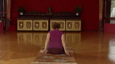 Tibetan Yoga of Movement: Perfect Rhythm of Life - Level 1