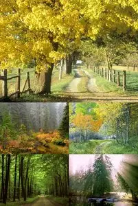 Top Great Wallpaper 162 (n. 28 jpg)