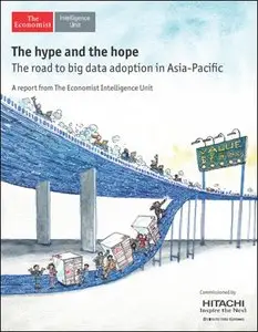 The Economist (Intelligence Unit) - The hype and the hope (2013)
