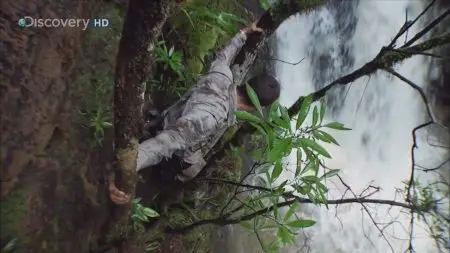 Ultimate Survival (Man vs Wild) Belize (2009)