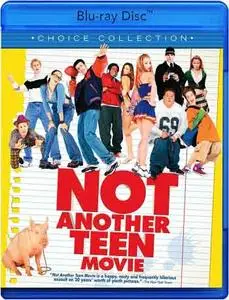 Not Another Teen Movie (2001)