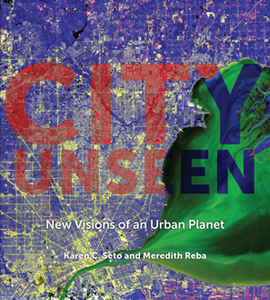 City Unseen : New Visions of an Urban Planet
