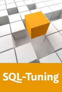 Video2Brain - SQL-Tuning
