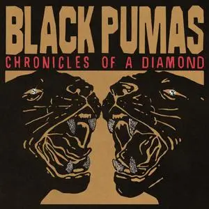 Black Pumas - Chronicles of a Diamond (2023) [Official Digital Download 24/96]