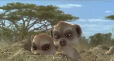 Animaux & Cie (2010)