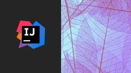 IntelliJ IDEA 2021 for Java & Kotlin Developers